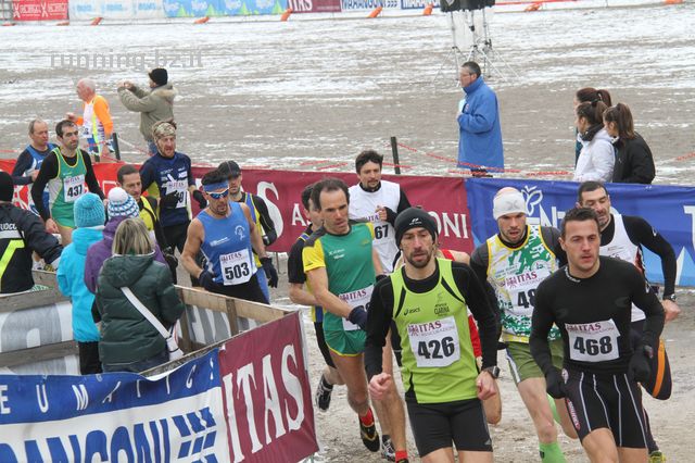 vallagarina cross_100