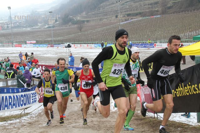 vallagarina cross_101