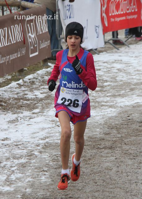 vallagarina cross_110