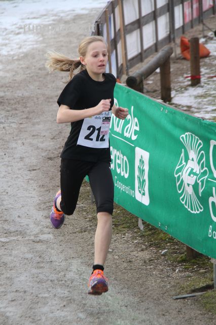 vallagarina cross_111