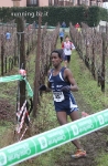 cross rovereto_259